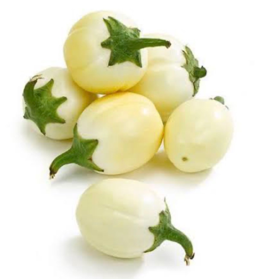 Garden Egg (White aubergine)