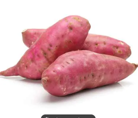 Sweet Potato Red (Süsskartoffel)