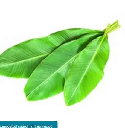 [FVFLU067] Banana Leaves -  1 pcs