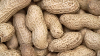 Peanuts (Kg)