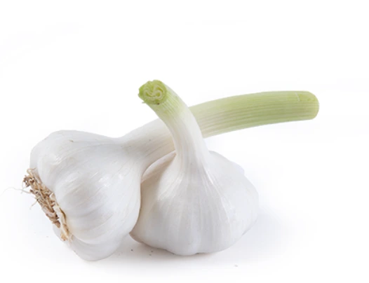 Garlic (Knoblauch)
