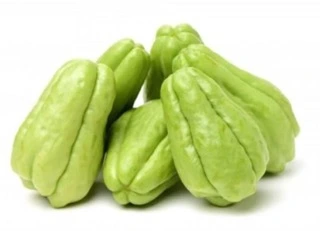 Chayotta