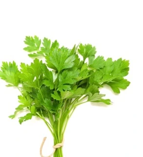 Coriander Leaves
