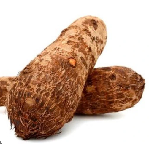 Cocoyam