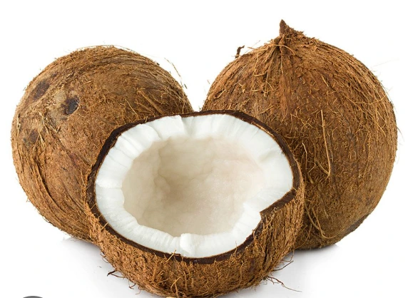 Coconut