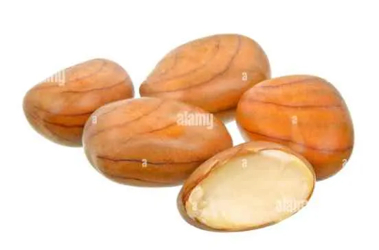 Jack Seeds - Transfood - 500g