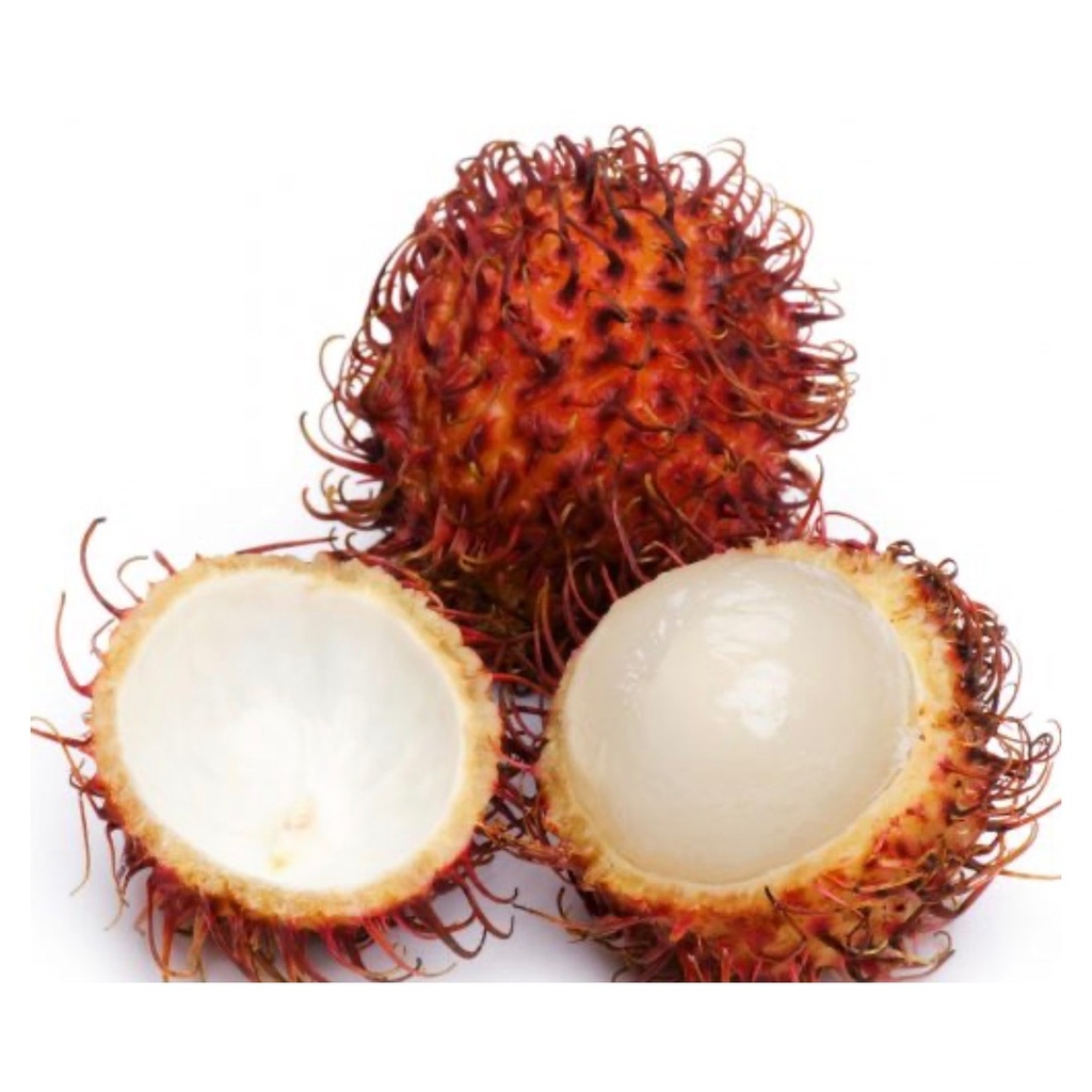 Rambutan