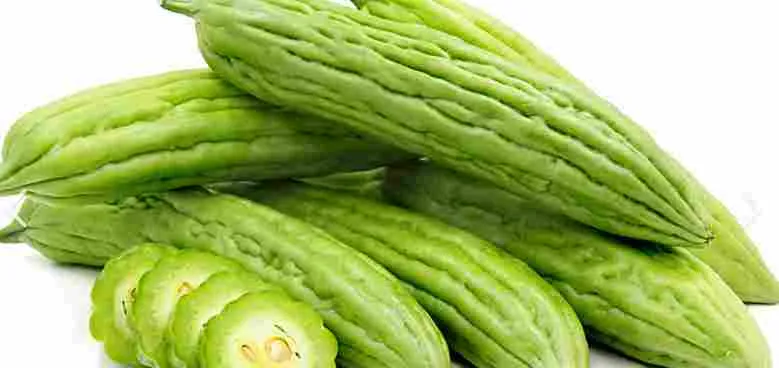 Bitter Melon
